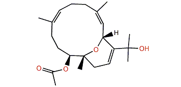 Numerosol B